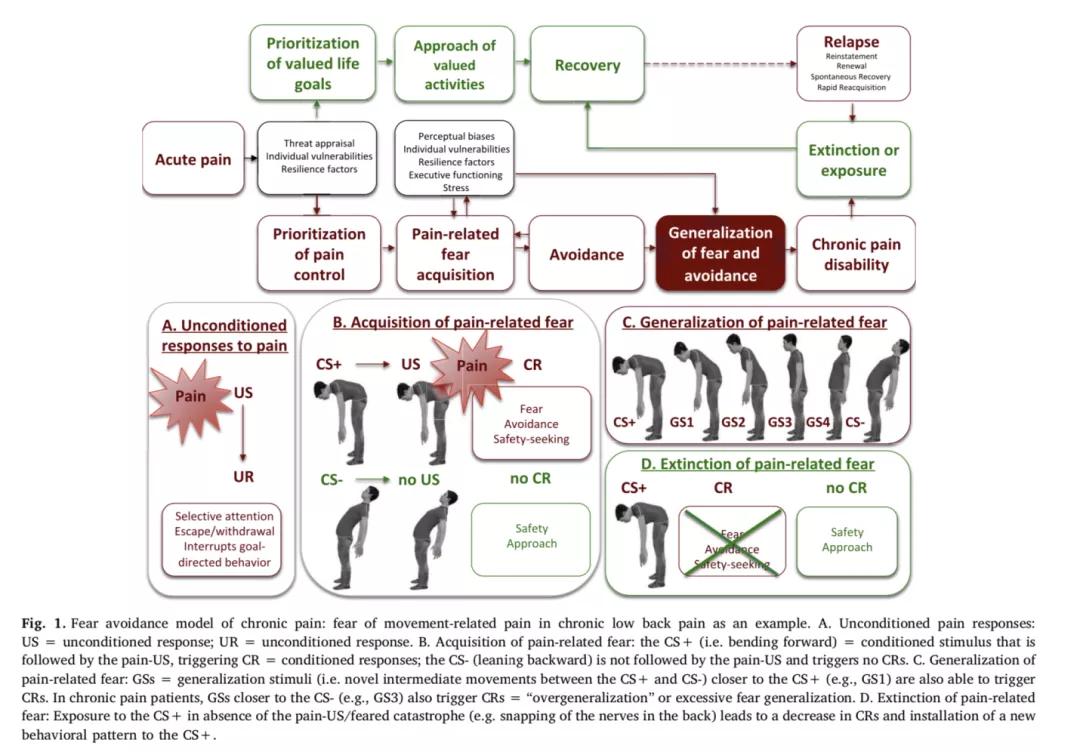 「典藏综述」百年条件恐惧研究,在慢性疼痛中“泛起的涟漪”