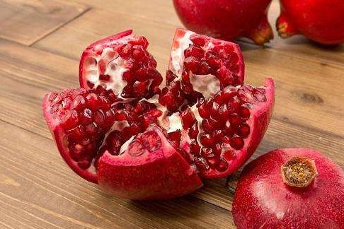 贵宾犬是禁区吗,养贵宾犬注意事项