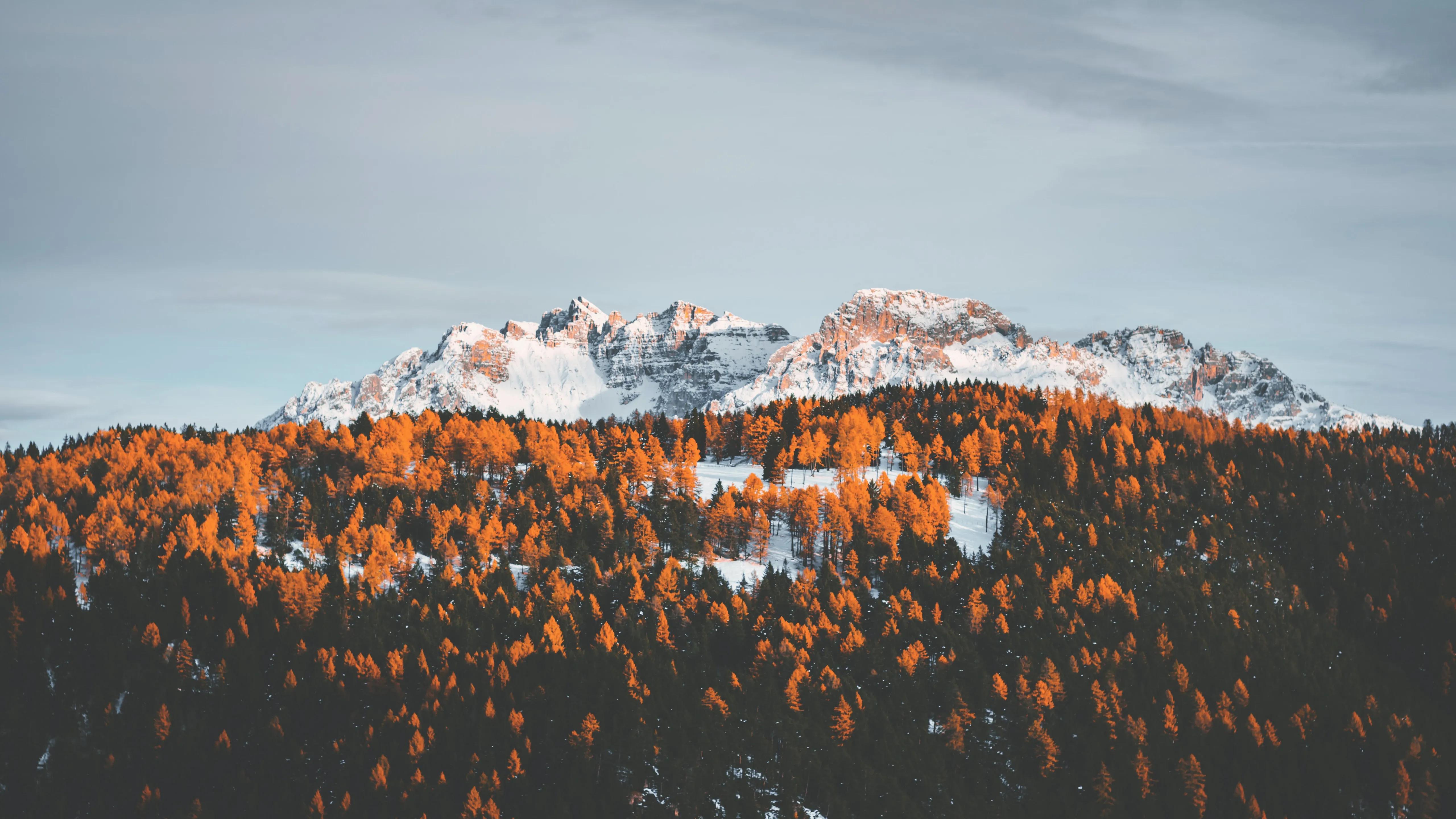 分享一波超清电脑壁纸高清无水印,4k超清清纯美女图片电脑壁纸