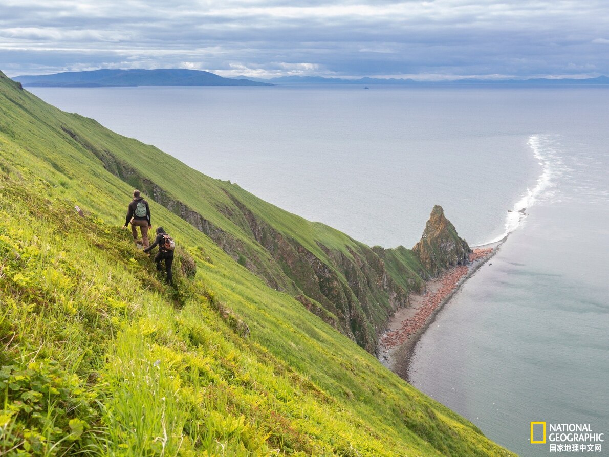 阿拉斯加听海,在阿拉斯加海湾听海