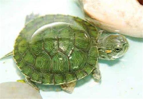 大学生活很无聊?做做这些吧!