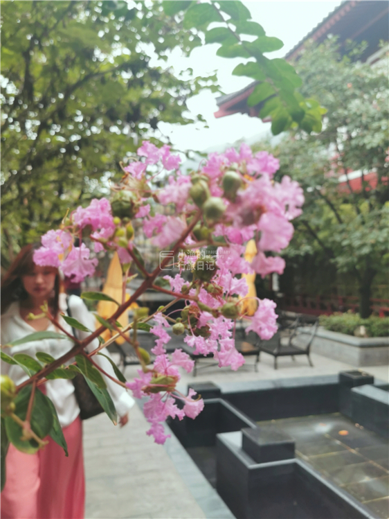 中国三大著名温泉,中国最壮观最省钱的温泉是哪个