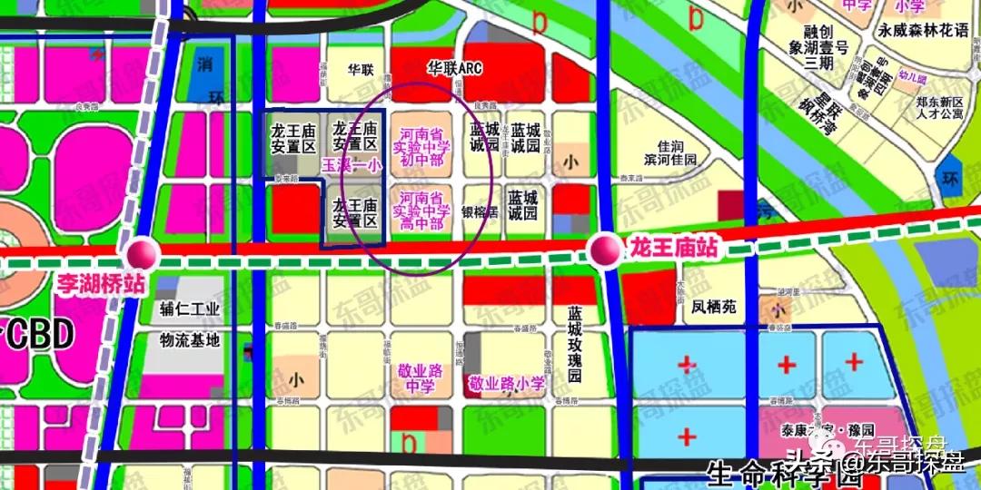 河南省实验小学白沙校区,河南省实验中学白沙2022招生
