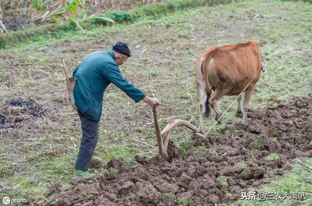 感人催人泪下的歌曲酒干倘卖无,酒干倘卖无催人泪下的感人视频
