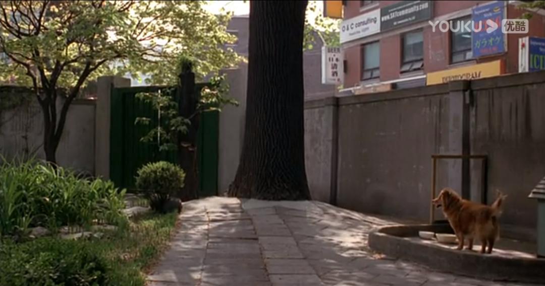 第一批舔狗,亚洲第一舔狗