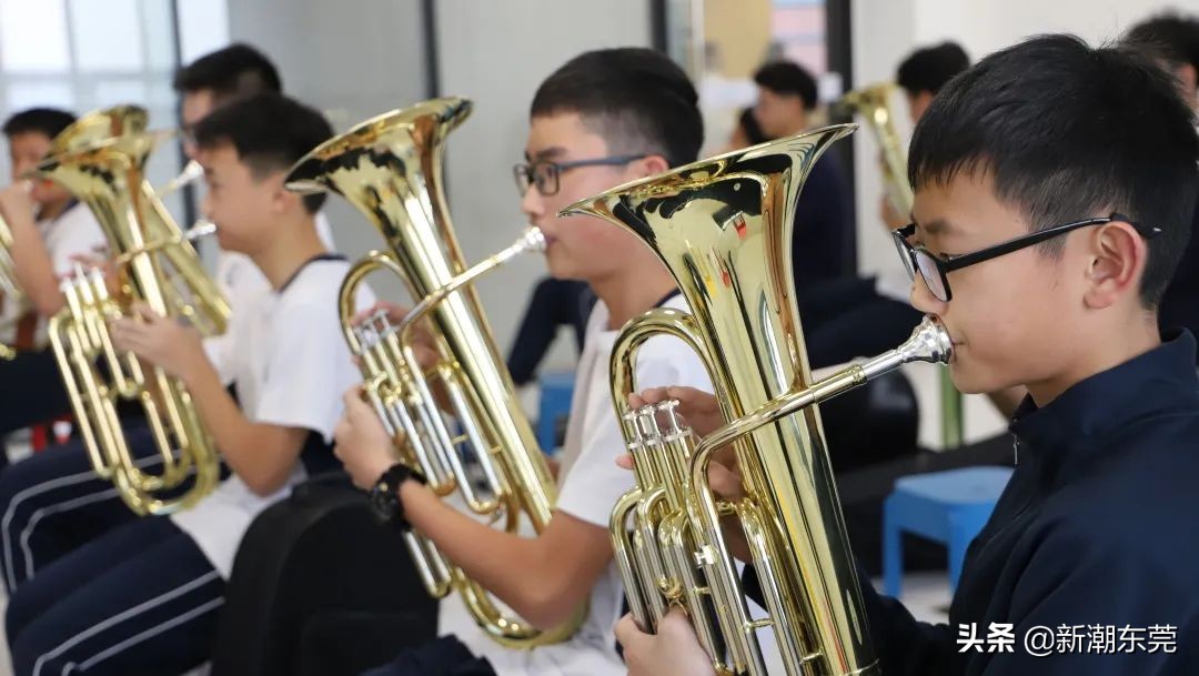 东莞外国语高中黑马,东莞黑马学校
