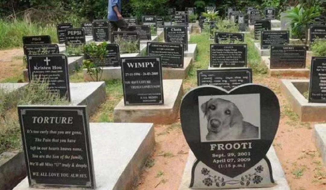 工作还轻松的6大奇葩冷门职业,盘点那些奇奇怪怪的高薪职业