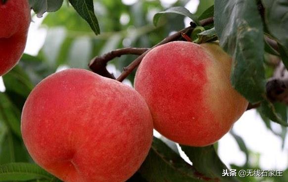 高铁达速跨越西安北,高铁达速跨越徐州东