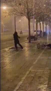 在山上遇到什么野果,在山上遇到哪些野菜