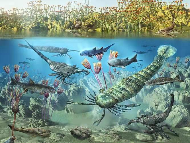 一分半带你看完地球生命进化史,地球生命演化史一口气讲完