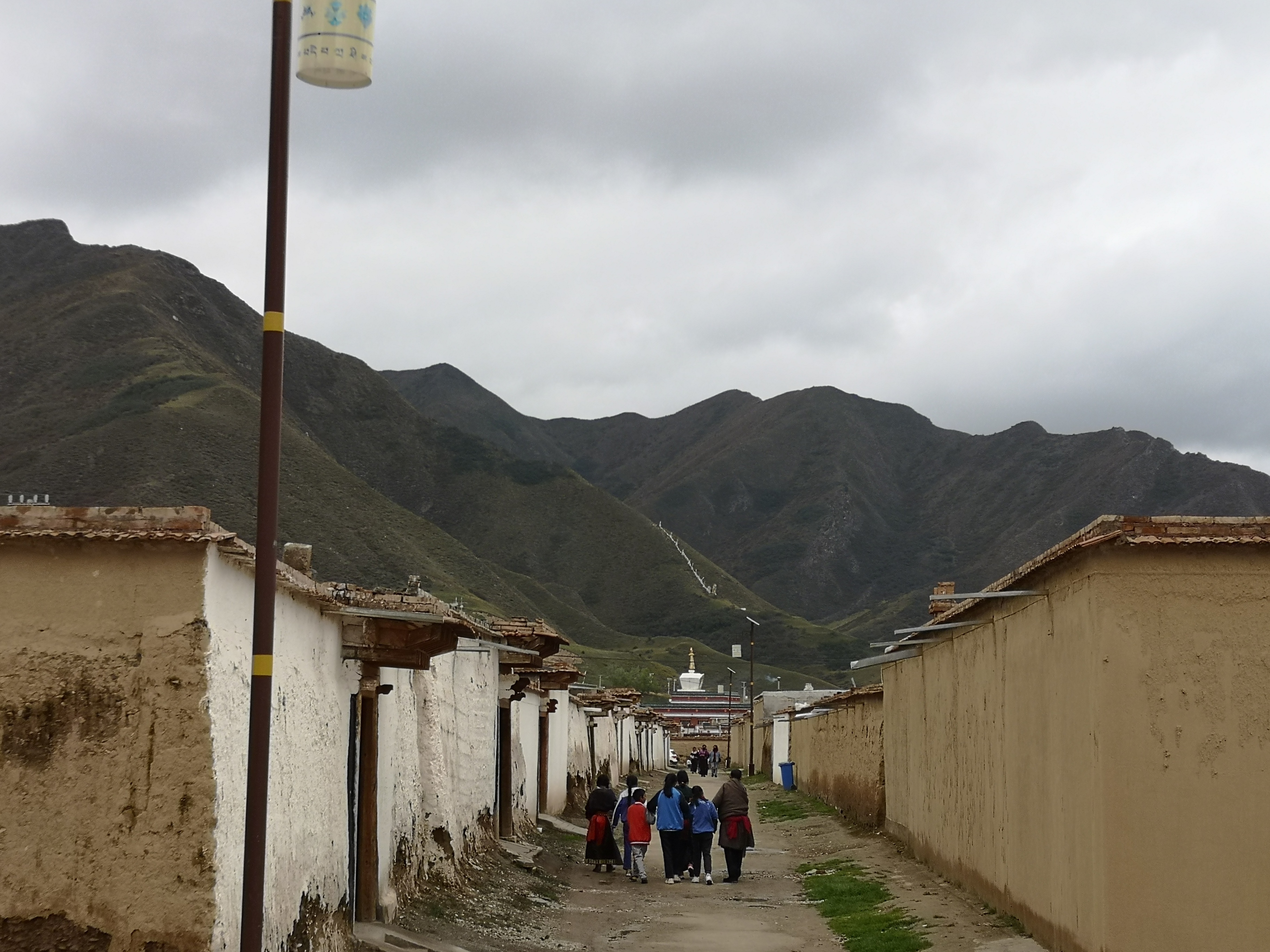 则岔石林游记,尕海湖和则岔石林