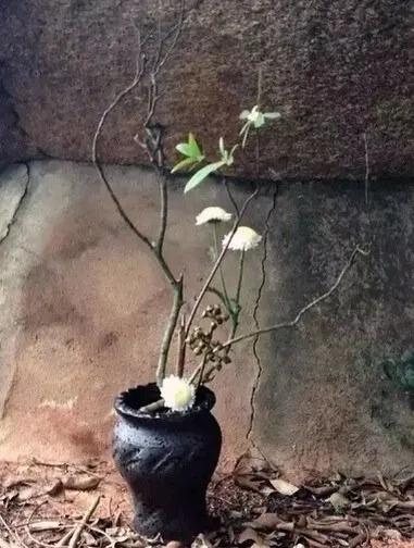 陶器美文,散文书画