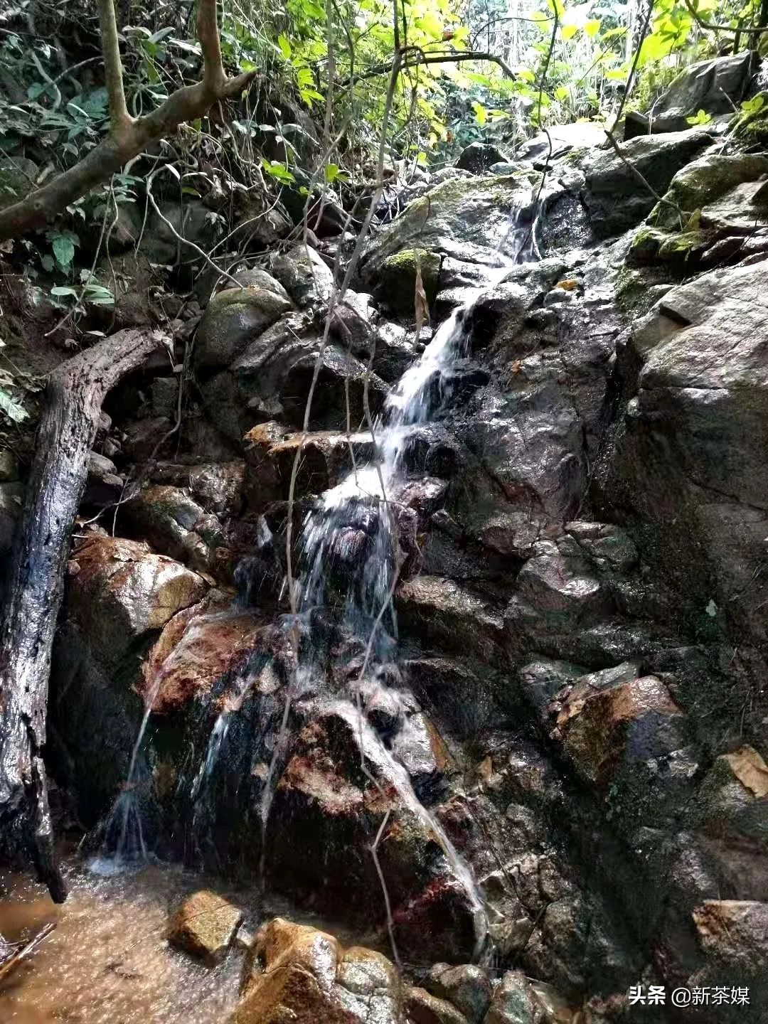 南糯山有什么景点,南糯山有哪些景点