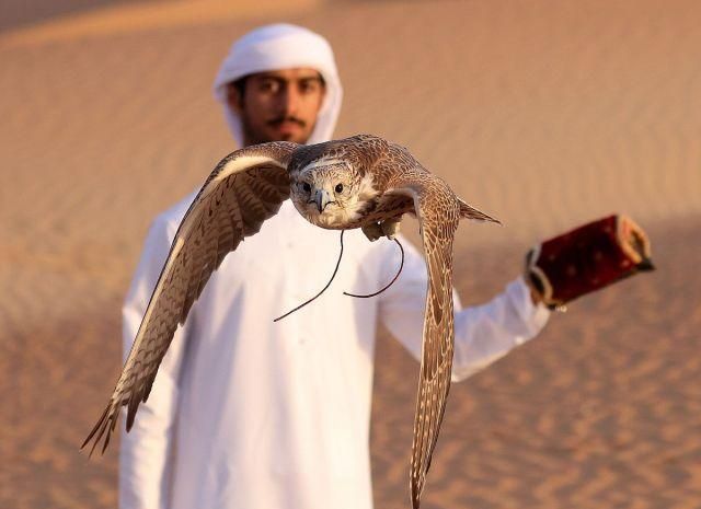 迪拜人均gdp跟中国人均gdp对比,迪拜最新人均gdp