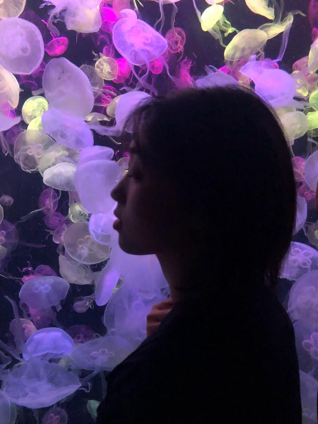 珠海长隆海底世界旅游攻略,珠海旅游攻略长隆海底世界