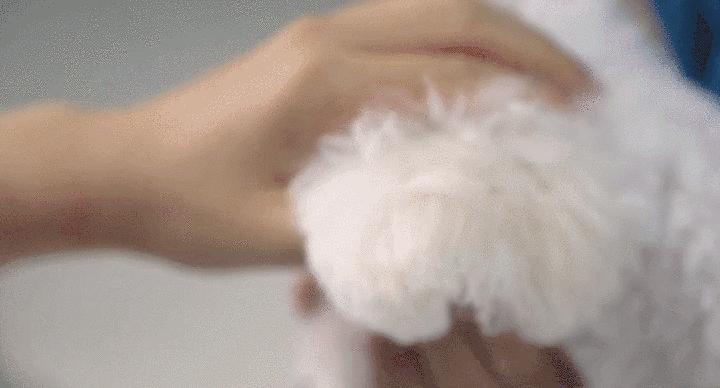 手工清除多年螨虫,根除耳螨最好的方法