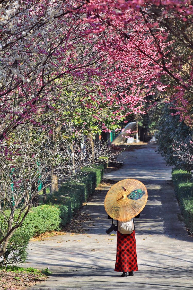 傅家边野营,走进金溪傅家村
