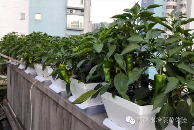 二培箱安装详解,底箱安装步骤示意图