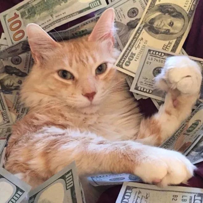 lo装到底是怎样一种存在?——lo装知识大科普