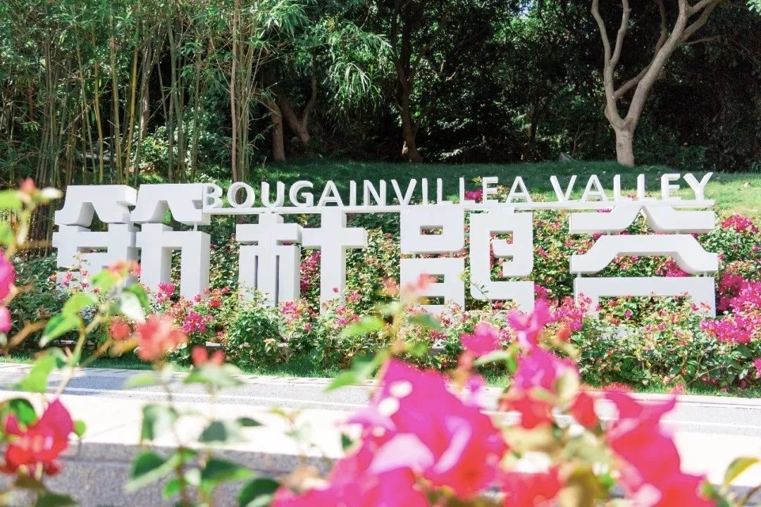 深圳游玩最佳地点排行榜前十名,深圳适合小孩游玩最佳地方推荐