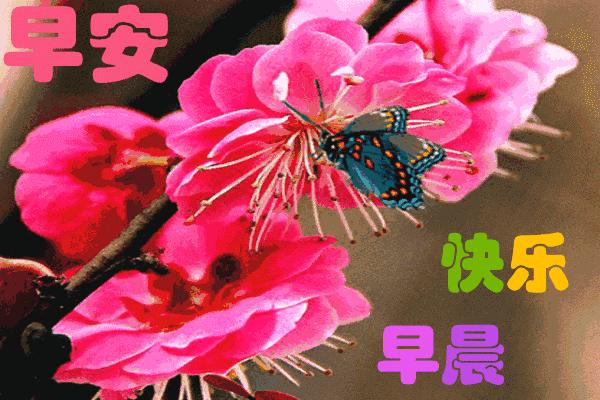 有志不在年高无志不在身高,有志不在年高的经典句子