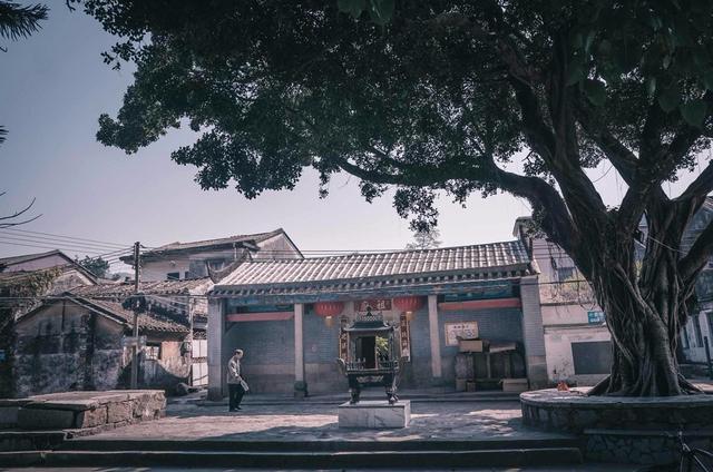 广东有哪些海岛值得去,广东附近的海岛海滩推荐