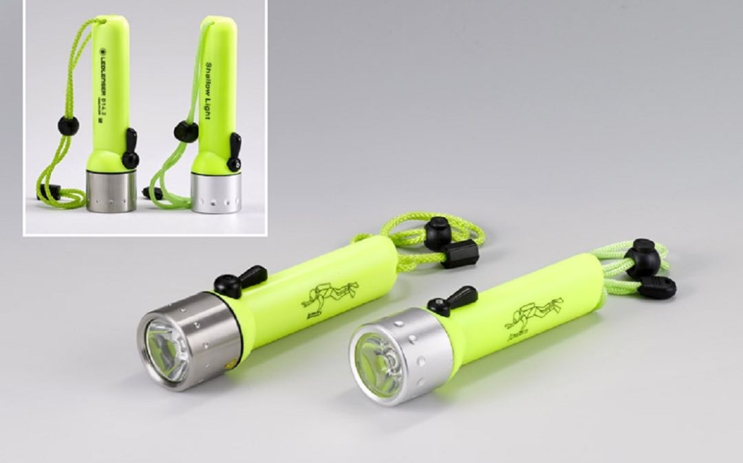 2020“金鼻子抄袭大奖”新鲜出炉,中国又又又成最大赢家!丢人呐