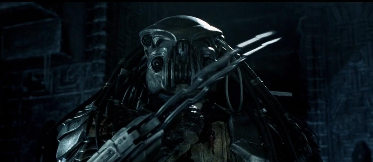 铁血战士系列解析,铁血战士形态全部解析