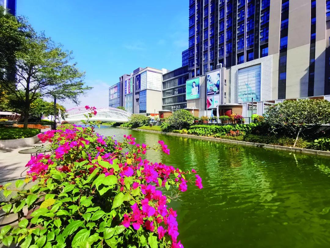 宜居、宜业、宜游......番禺，来过的都说好！