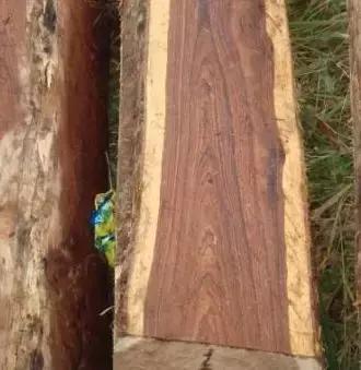 红木家具木材品种进口价格及图片,目前红木家具木材价格