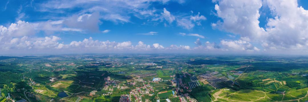 惠民实事工程最新消息,惠民实事新消息