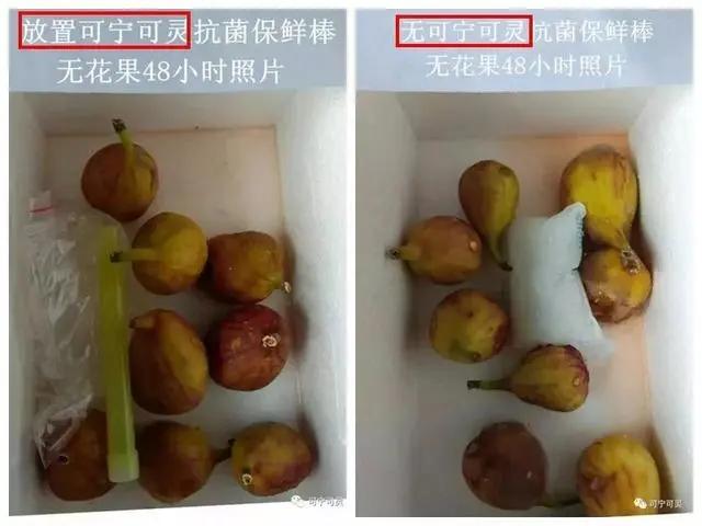 冰箱除臭保鲜神器,冰箱抗菌除臭保鲜棒