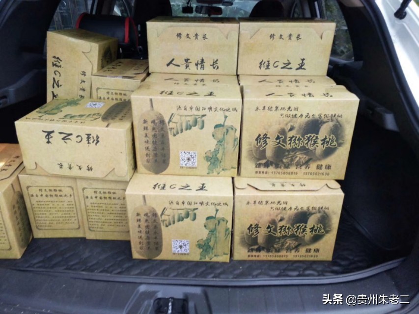 猕猴桃果子大小分级标准,猕猴桃品类区分标准是什么