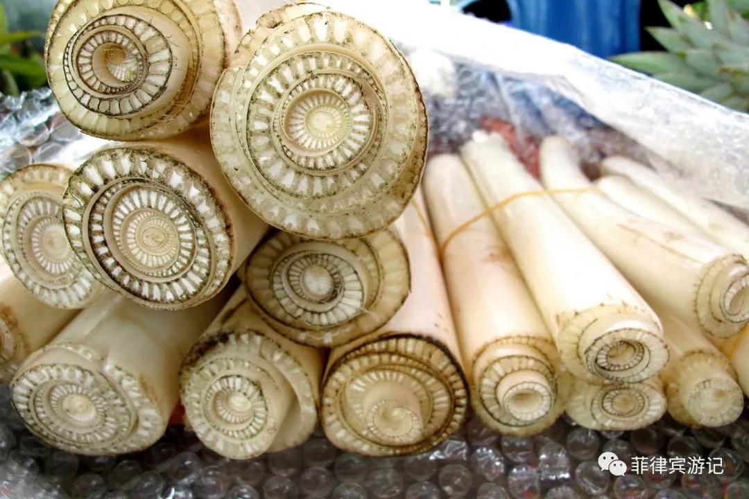 菲律宾青菜价格表,菲律宾蔬菜为什么那么贵