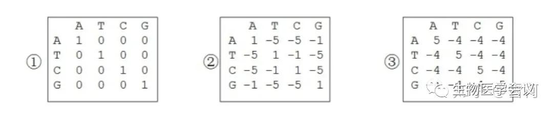 生物信息学入门的87个名词,一张表看懂生物信息学