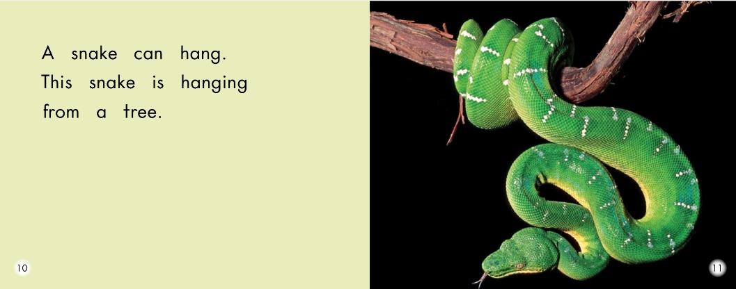 英语绘本故事小怪物,蝴蝶英语绘本阅读