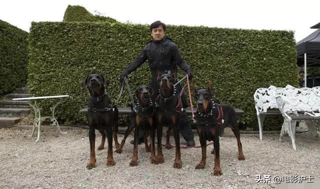 俄罗斯票房大卖23亿,成龙最新电影票房排行