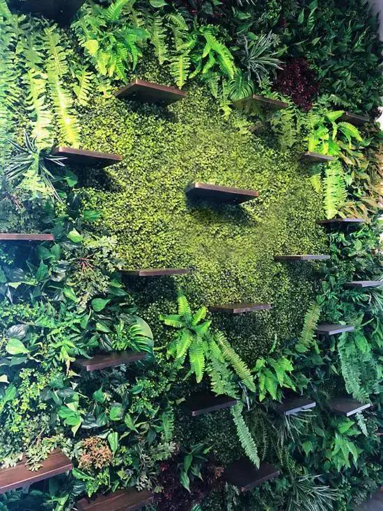 怎么能从宠物去世的悲伤中走出来,如果有一天宠物离开了该怎么办