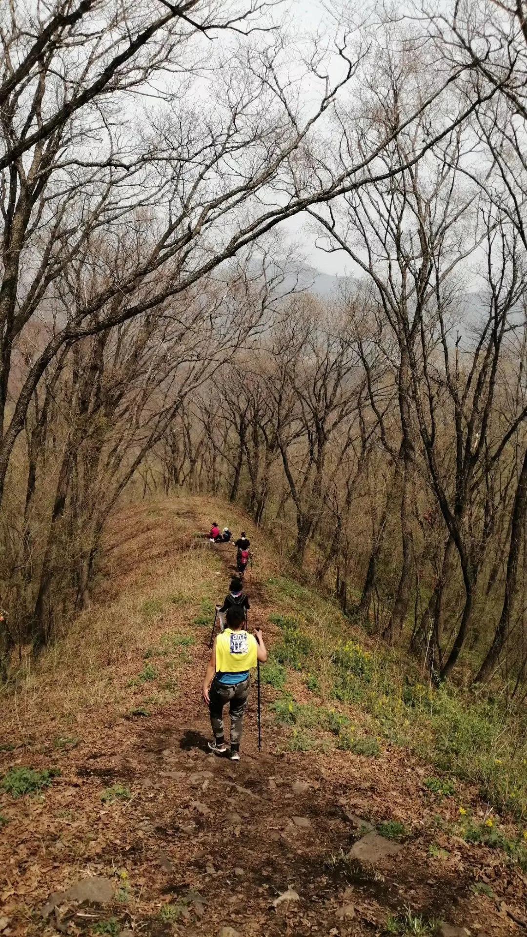 旅行社网络营销与传统营销策略,互联网思维下的旅行社营销