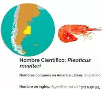 进口阿根廷红虾有疫情吗,阿根廷红虾今天消息