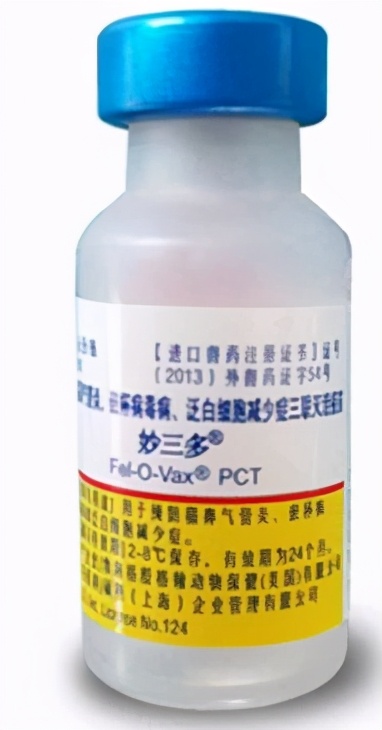 如何给猫打针教程,怎么给猫打针最简单