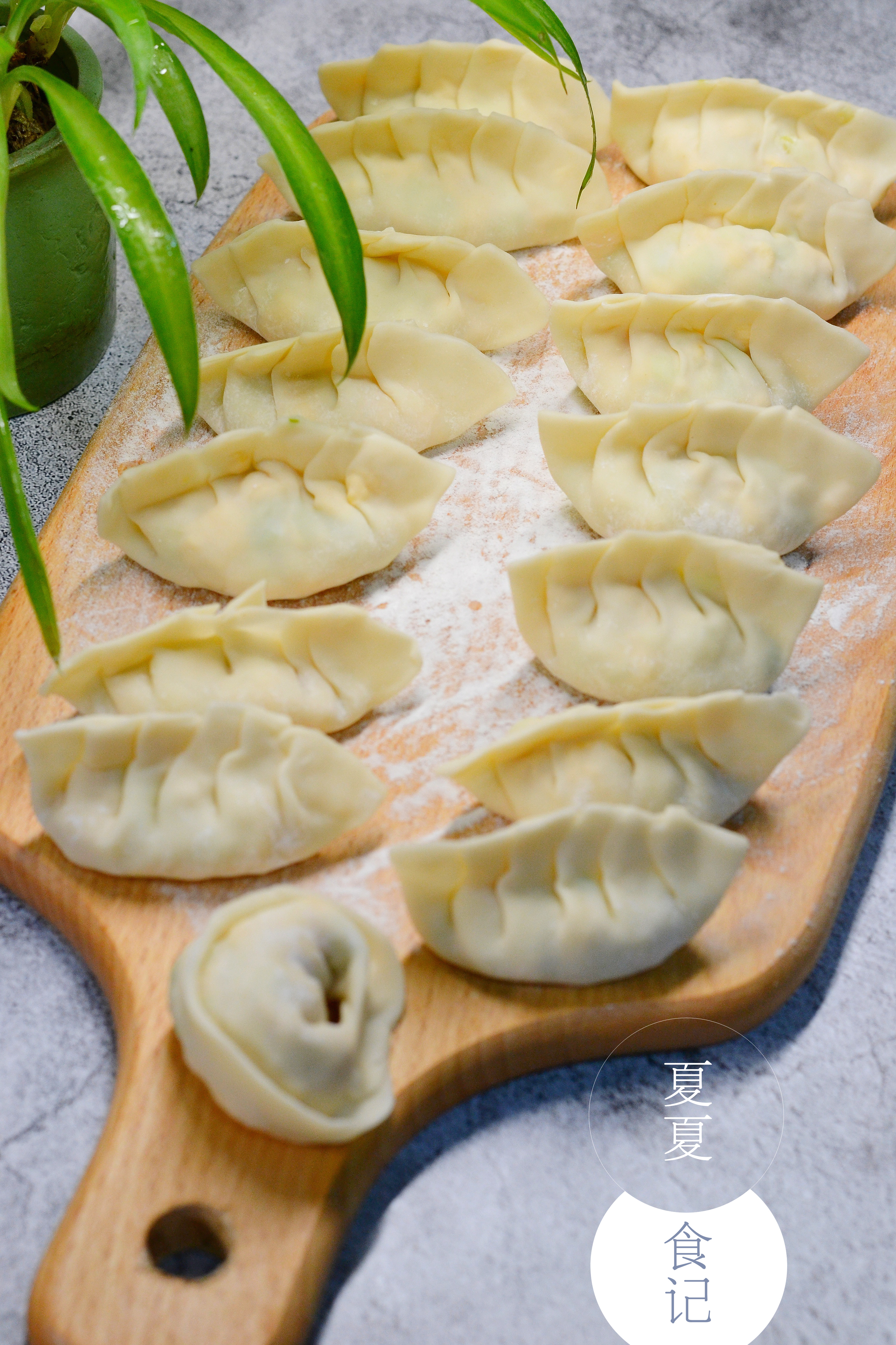 青菜包饺子怎么能不出水,青菜虾仁饺子馅怎么调最好