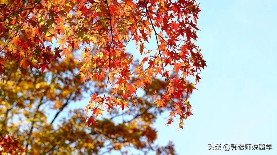 去日本留学需要兼职吗,日本留学兼职时间段