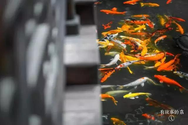 岭南真味广州,广州味道北京店