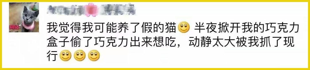 我家猫吞了根针险些丧命，这些东西千万别让猫碰