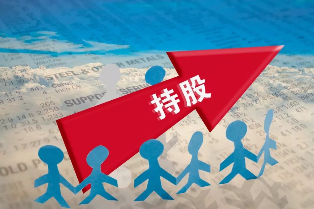 100股也是股东:小散权利知多少丨风云课堂