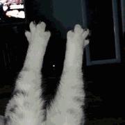 十款零差评水乳套装干敏皮,水乳哪一款好用又平价