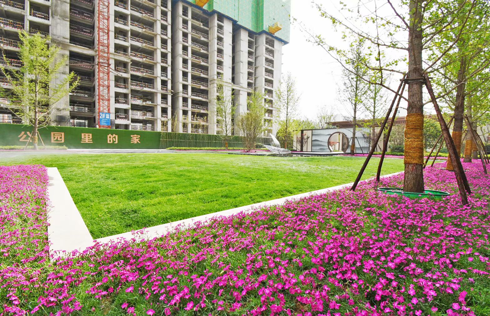 爱在日常才不寻常宝洁,爱在日常才不寻常视频