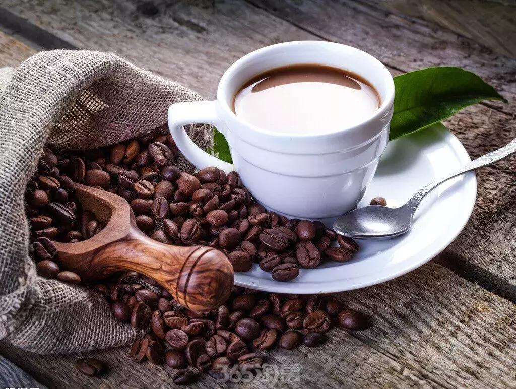 星巴克创造千亿咖啡,星巴克投资10亿