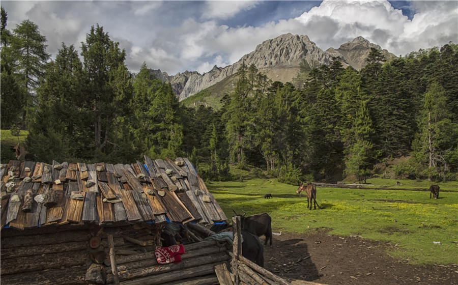 宜宾川藏线,宜宾自驾俱乐部参团西藏游